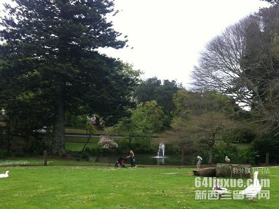 ������������ѧ�о���