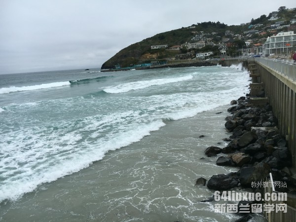 �������¿�����ѧ��ѧ����