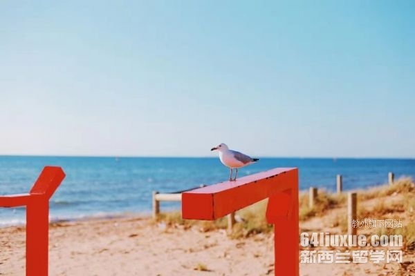 �Ĵ�������ѧ���ø���