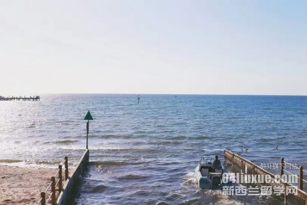 ��ѧ���аĴ�����