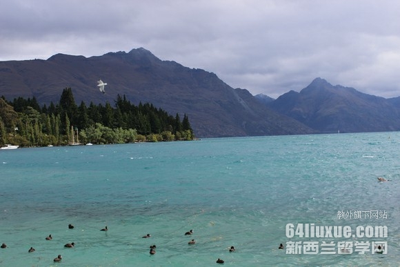 新西兰林肯大学本科申请要求