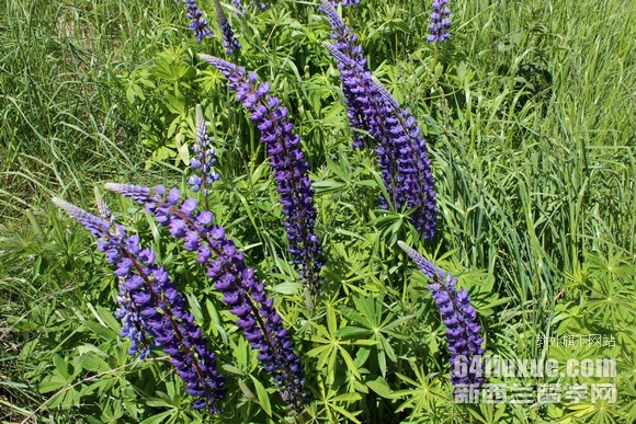 �¿���������ѧ������������