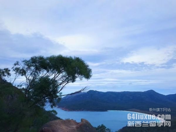 �Ĵ����Ǵ�ѧ���ڱ���