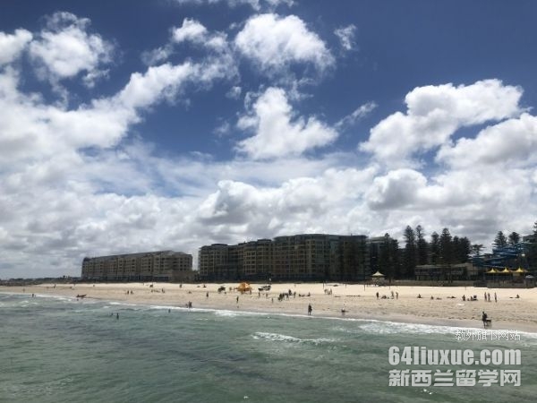 �Ĵ���������רҵ��ѧ