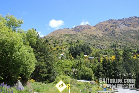 ��������ѧ������