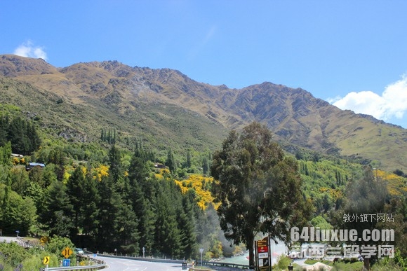 ��������ýרҵ��ѧ��ѧУ