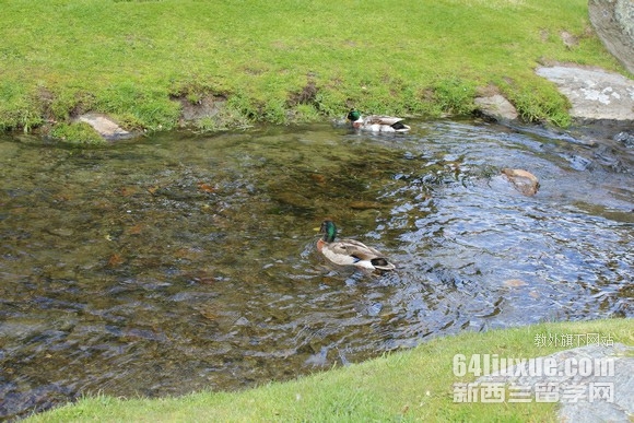 新西兰留学读研条件