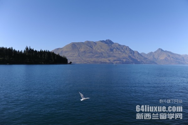 ��������ѧ������Ҫ��