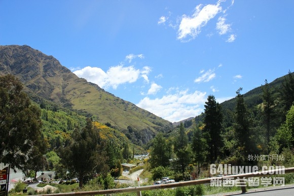 梅西大学开设的本科专业