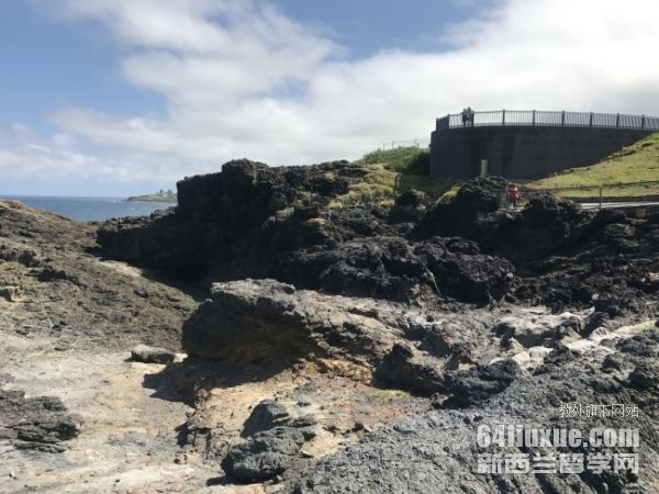 �Ĵ�����ī������ѧ����