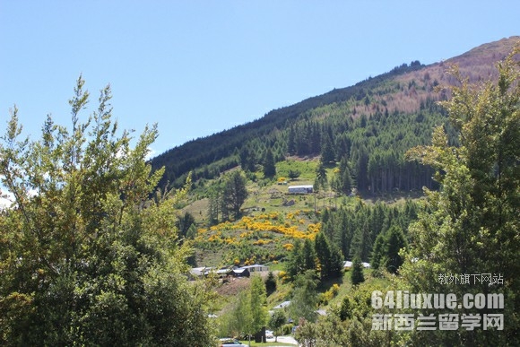 新西兰艺术专业留学的大学有哪些