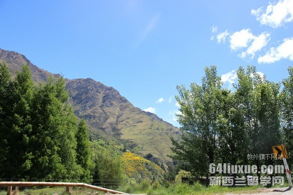 新西兰艺术专业留学的大学有哪些