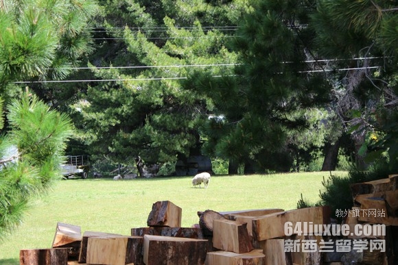 ������÷����ѧ��ѧ�ķ���