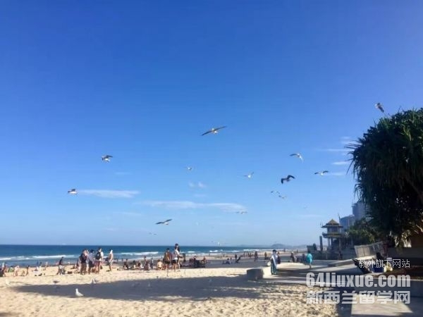 ����רҵ�Ĵ�������ѧ