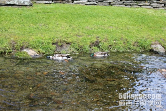 新西兰博士学制几年