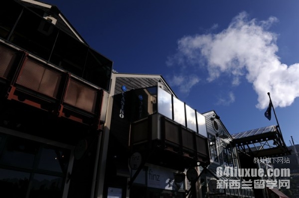 奥克兰大学信息技术硕士