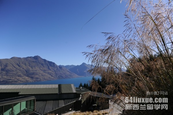 新西兰葡萄酒专业留学
