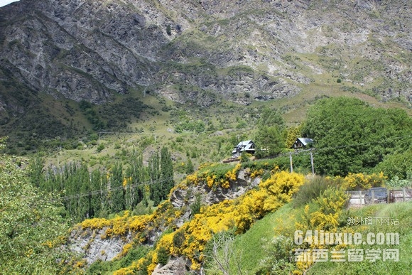 ������Сѧѧ��