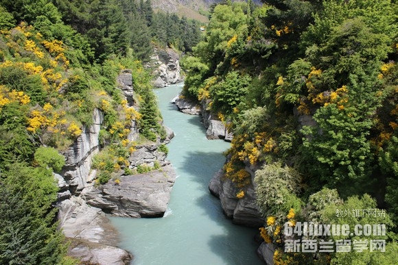 ������ѧ����������