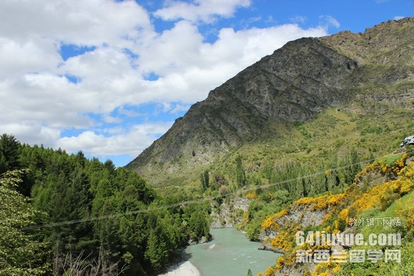 新西兰坎大世界排名