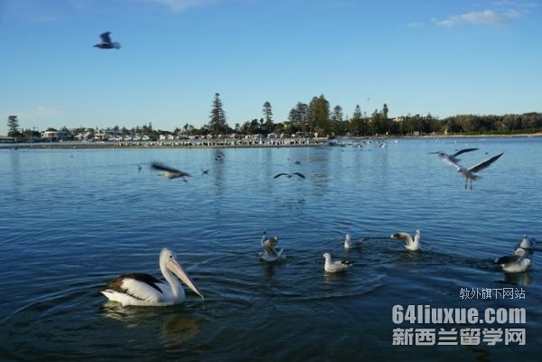 �Ĵ�������ʿ����ѧ