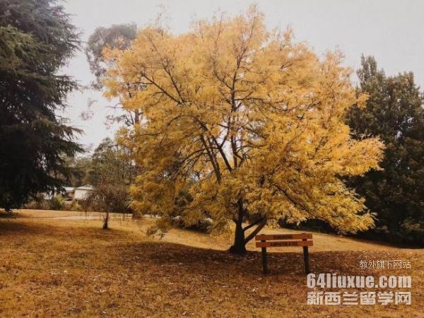 �Ĵ��������Ĵ�ѧ��������