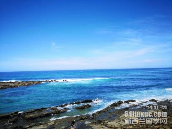 �Ĵ�����Ŧ��˹����ѧ��ѧ