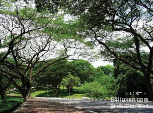 usm马来西亚理科大学