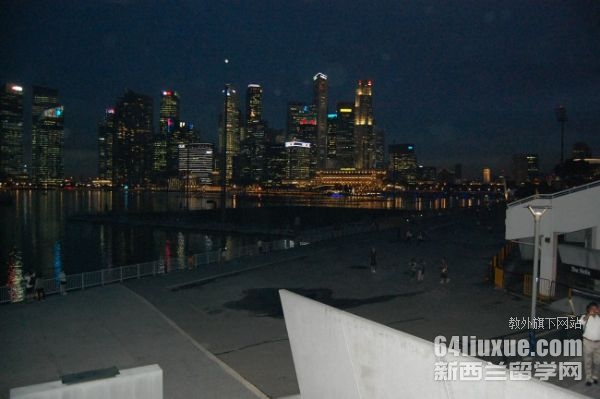 新加坡南洋理工大学音乐本科专业