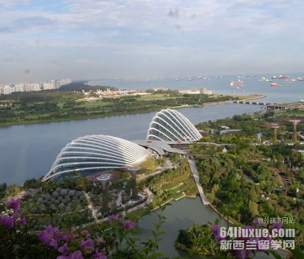 新加坡科廷大学申请要求