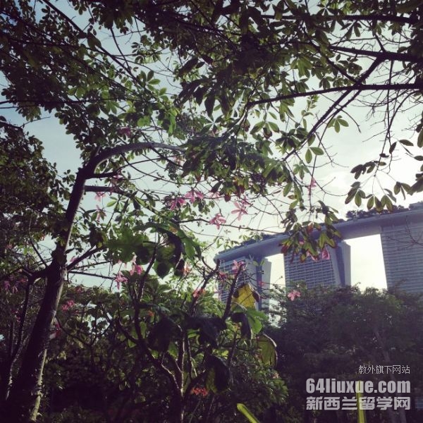 �¼��´�ѧ������������