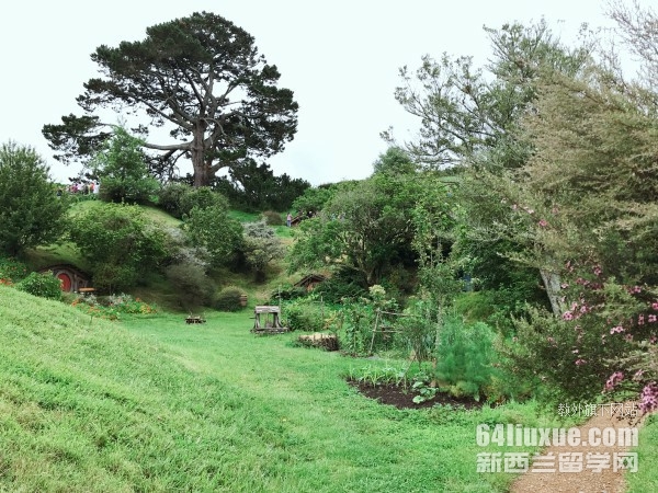 新西兰惠灵顿维多利亚大学