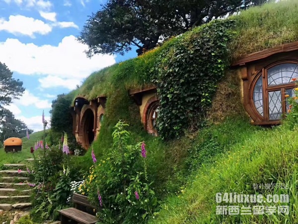 新西兰本科留学的费用