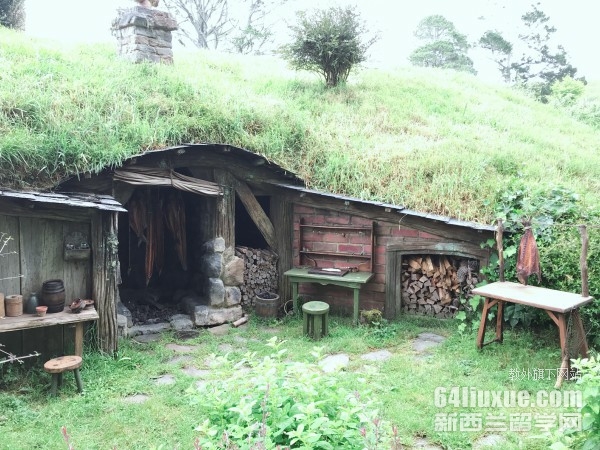 新西兰梅西大学经济学专业