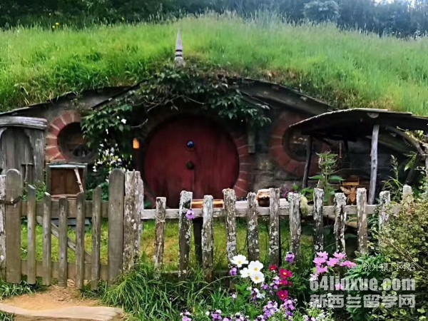 �������������רҵ��ѧ