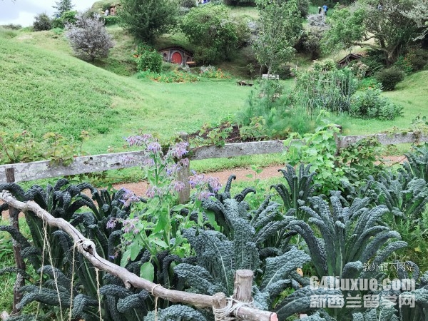 ������÷����ѧ��ѧ��������