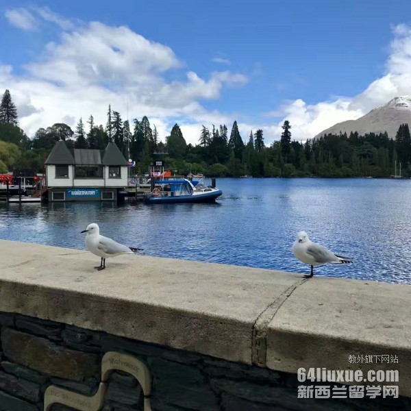 新西兰会计专业硕士留学