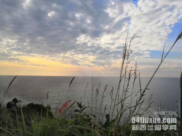 ̩�����ʴ�ѧ����qs��������