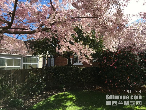 新西兰兽医专业硕士留学