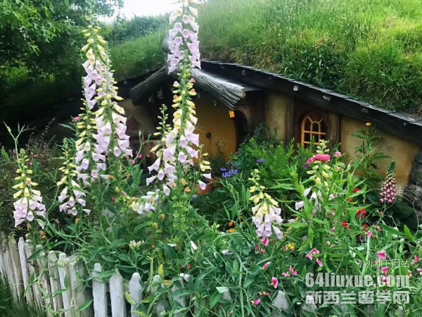 新西兰留学读高中一年费用