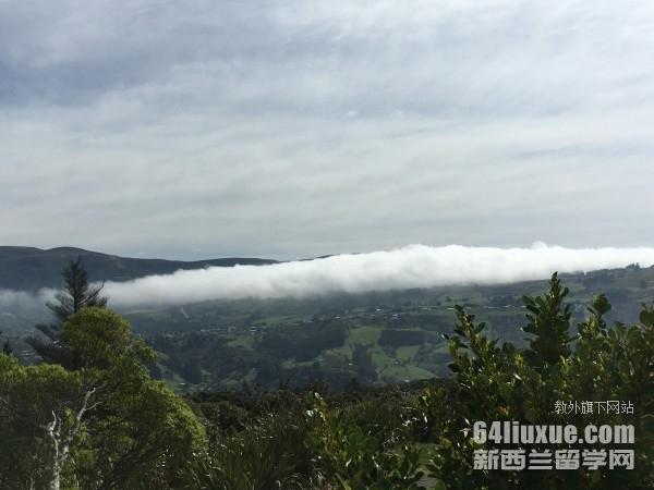 ��������ѧרҵ��ѧ