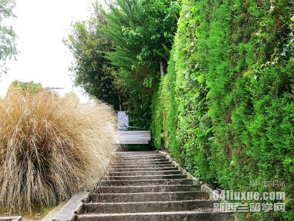 ÷����ѧ�о�������ʱ��