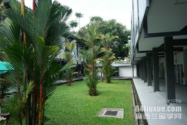 �¼���jcu��ѧ��������