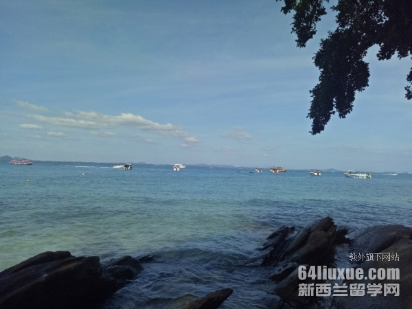 ̩��������ѧ����ѧ��