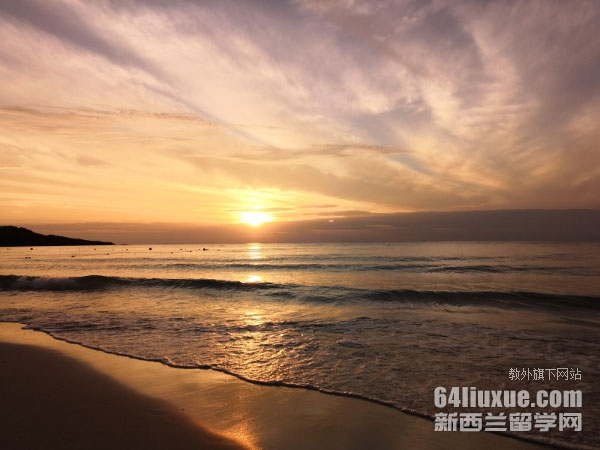 ̩�����ȴ�ѧ��ѧ����