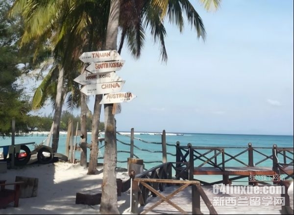 ���������ٴ�ҽѧ��ѧ