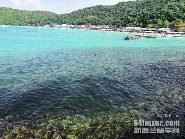 ̩�������ߴ�ѧѧ��