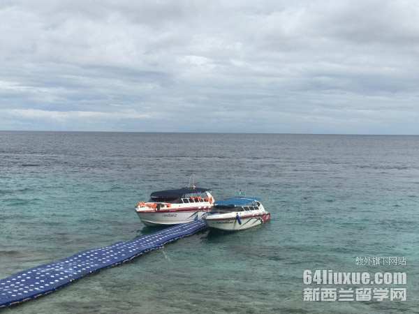 ̩�����ִ�ѧ˶ʿ��������