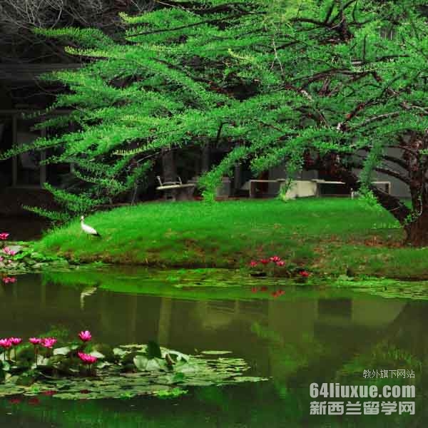 ̩����ѧҪ����Ǯ