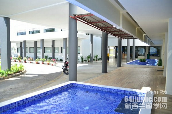 mdis�¼��¾Ƶ����רҵ